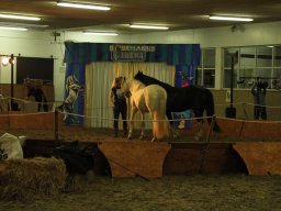 IMG_5056_web